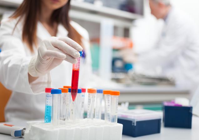 Scientist at work in a laboratory. Shutterstock Photo ID: 1216364719