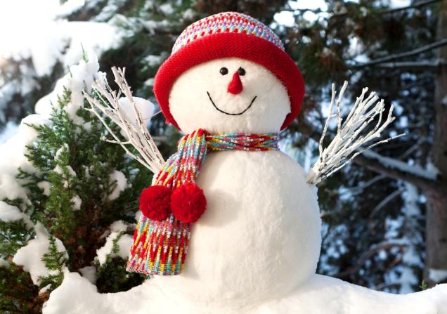 A little smiling snowman wearing a red woolly hat and scarf. Image by Muellek via Shutterstock.