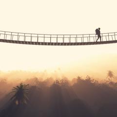Crossing the bridge from project to non-profit. Image by Orla via Shutterstock.